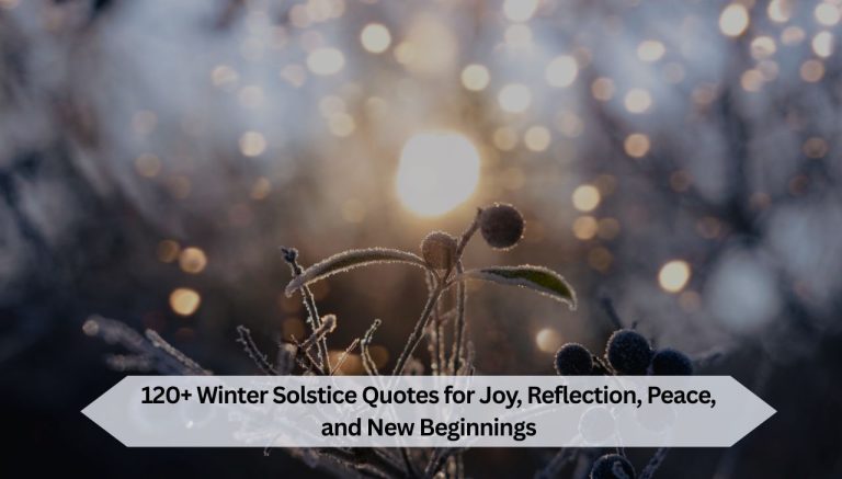 120+ Winter Solstice Quotes for Joy, Reflection, Peace, and New Beginnings