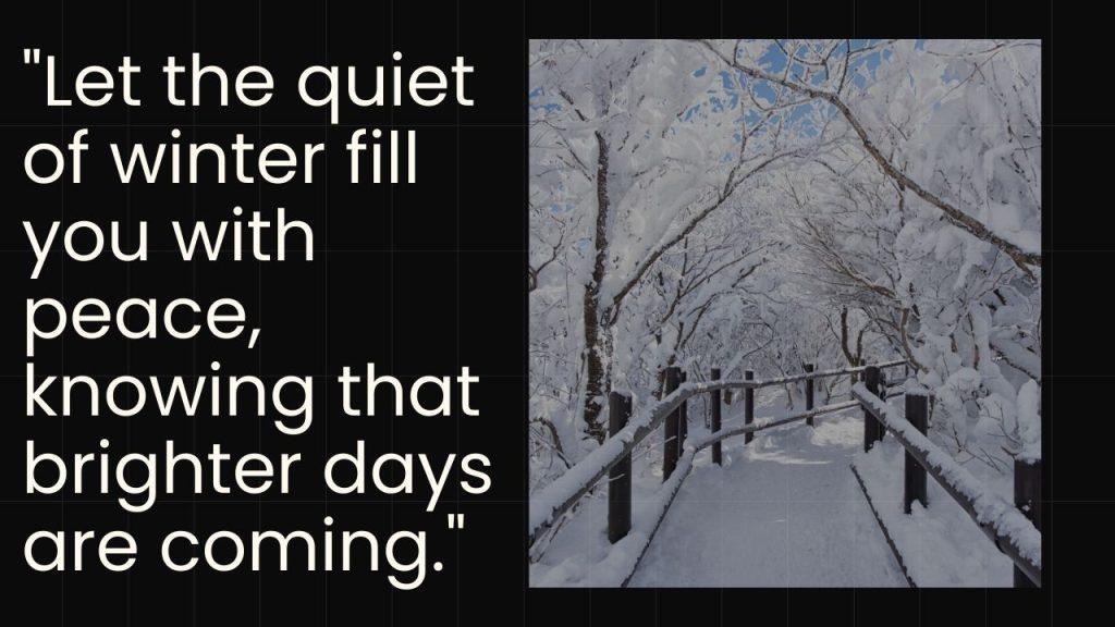 Positive and Happy Winter Solstice Quotes to Brighten Your Day
